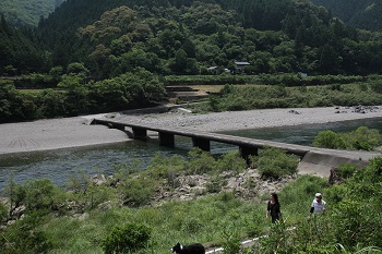 写真拡大